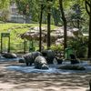 Parks Department Insists It's Not Planning To Rip Out All The Animal Sculptures From NYC Playgrounds